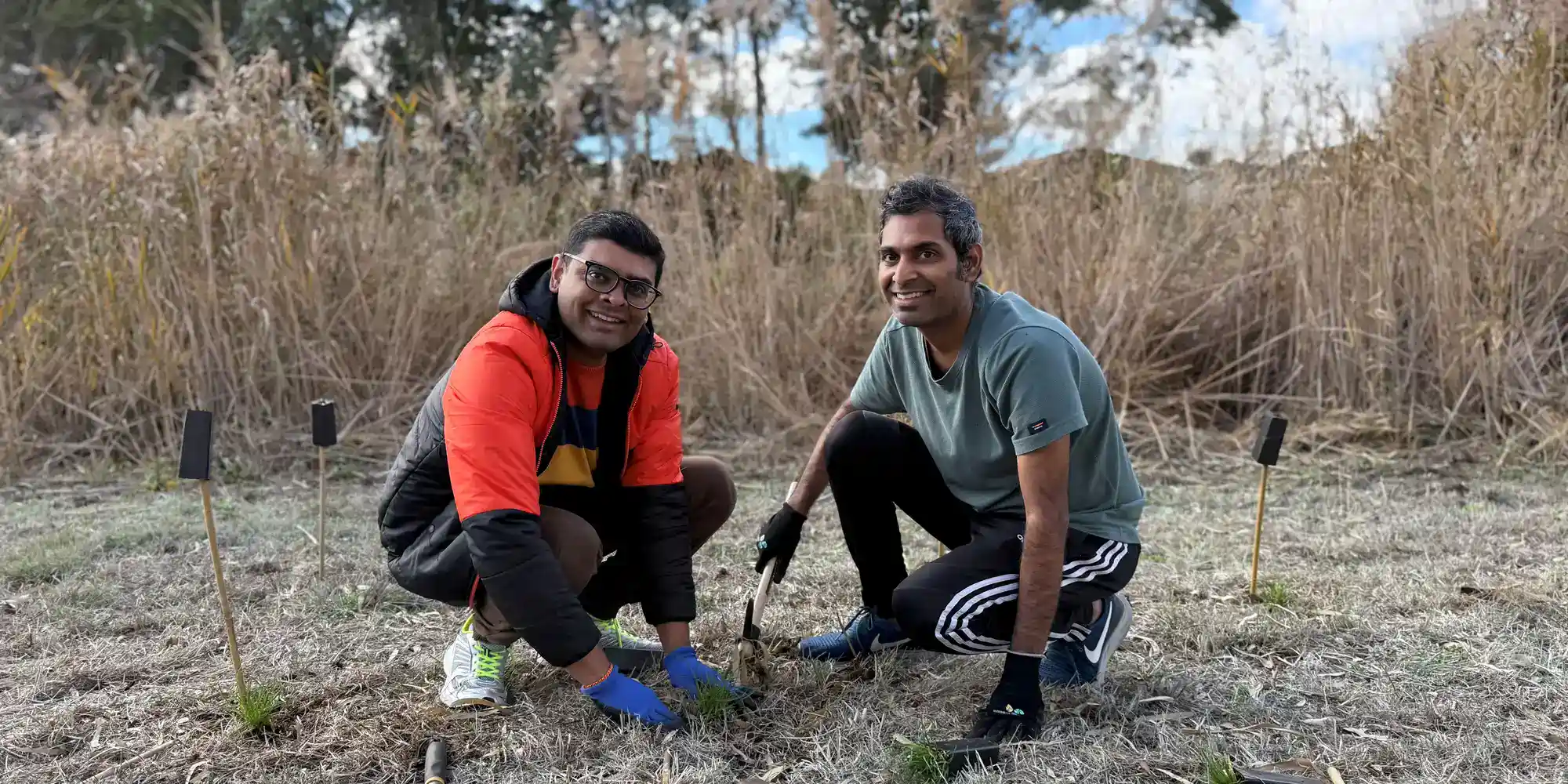 Bundoora Creekside Planting